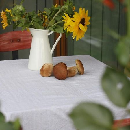 Holiday Home Trnavsko Bogojina Zewnętrze zdjęcie
