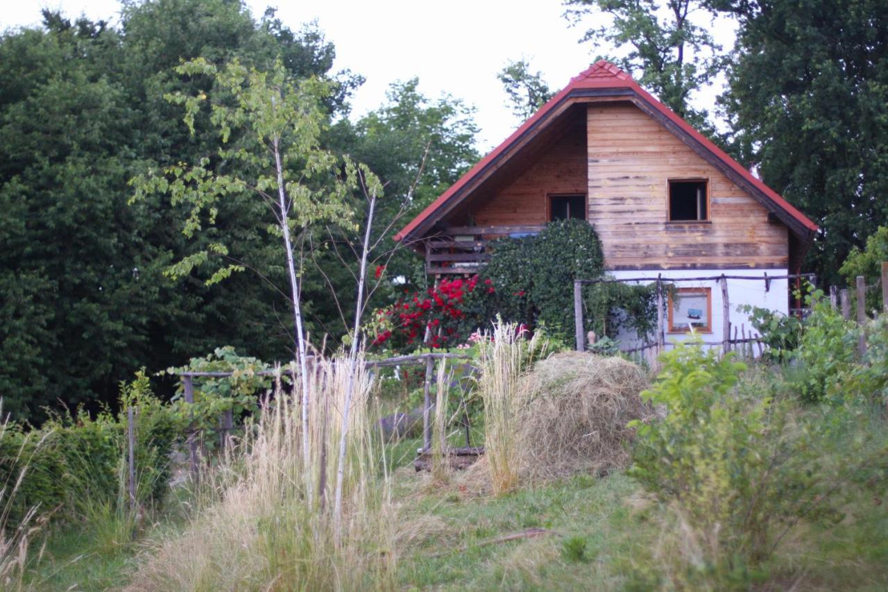 Holiday Home Trnavsko Bogojina Zewnętrze zdjęcie