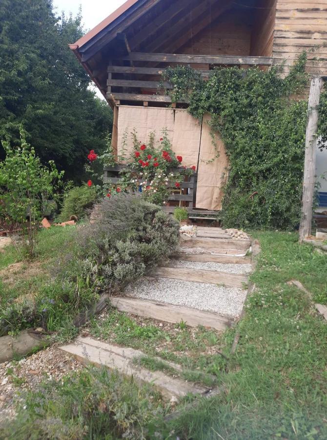 Holiday Home Trnavsko Bogojina Zewnętrze zdjęcie