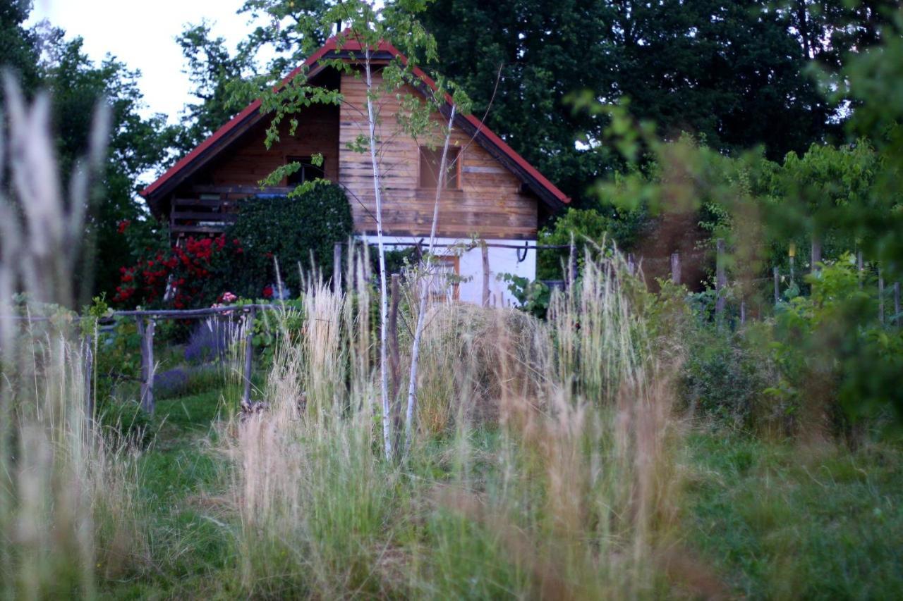 Holiday Home Trnavsko Bogojina Zewnętrze zdjęcie