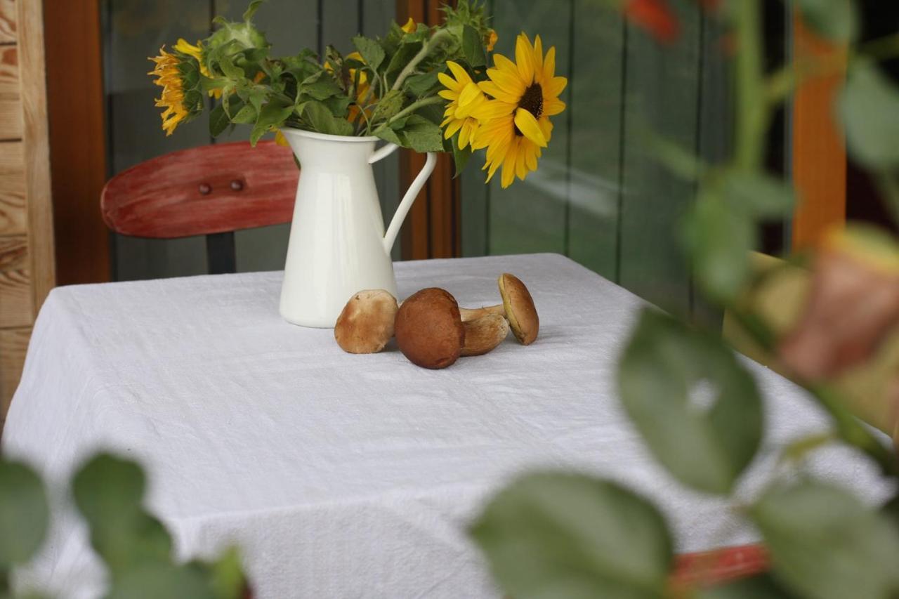 Holiday Home Trnavsko Bogojina Zewnętrze zdjęcie